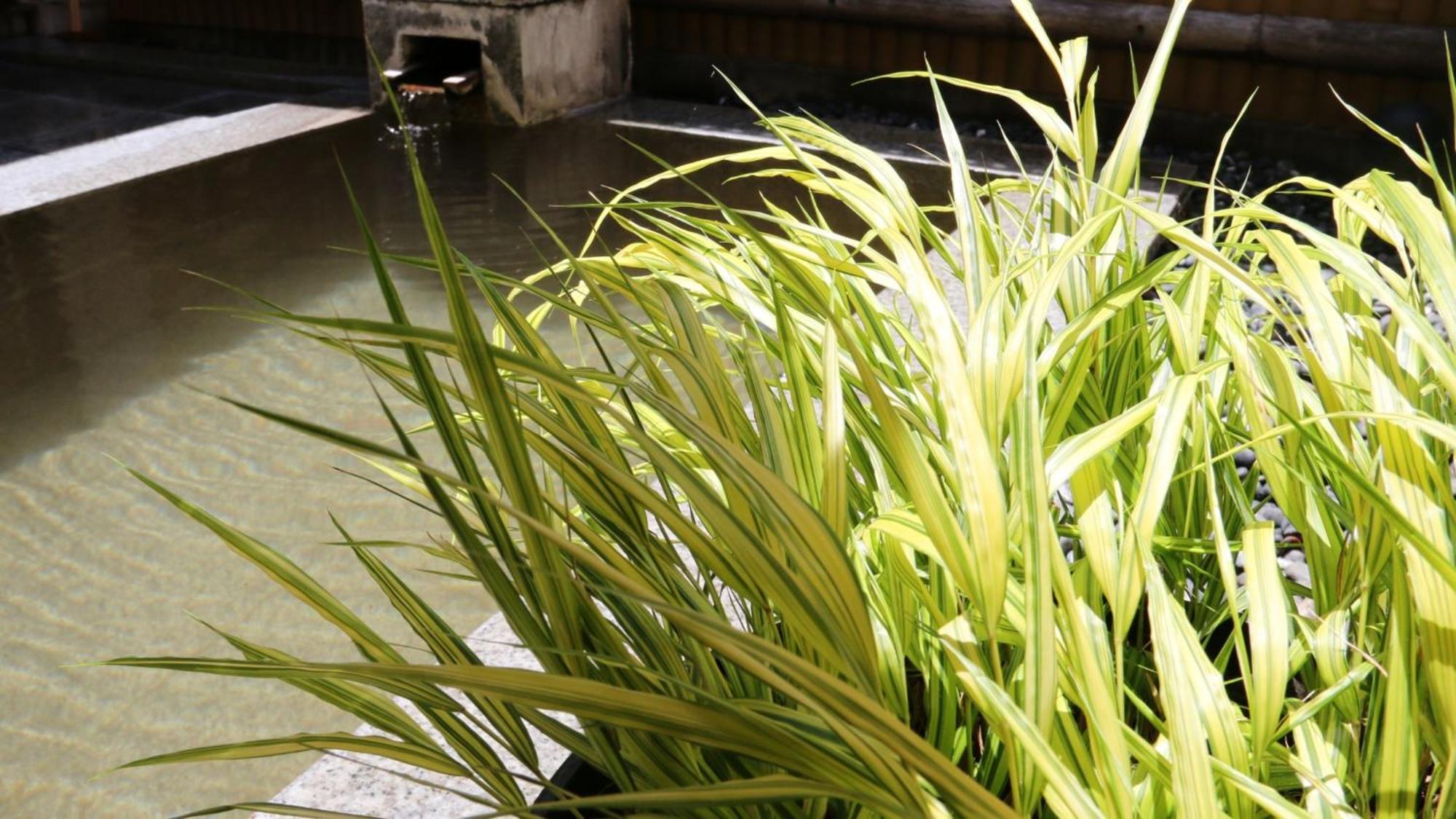 Baigetsu Ryokan 시모 스와 외부 사진